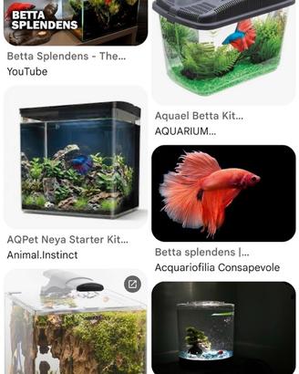 per acquario