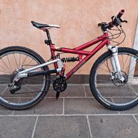  Bici da discesa ( downhill) Ventana