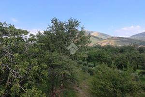 TER. AGRICOLO A SAN FELICE A CANCELLO