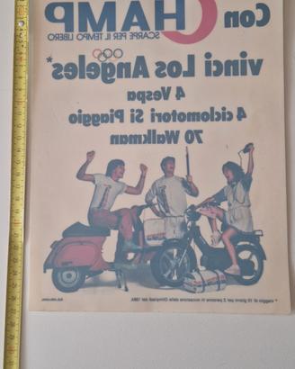 Vetrofania adesivo vintage 1984 Champ Piaggio 