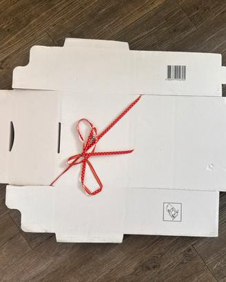 14 Scatole RAJA Postali Bianche 31x22x15 cm