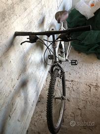 Mountain bike _ ADORNI