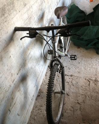 Mountain bike _ ADORNI