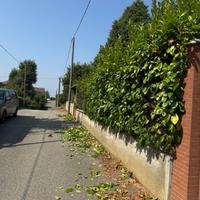 Giardiniere/Manutentore del verde