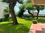 Immagine 21