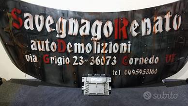 Centralina Motore Ford Fiesta 6 serie  S180047002