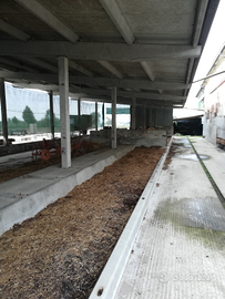 Tettoia in cemento prefabbricato