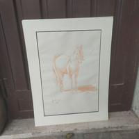 Disegno acquarello Renato Reggiori