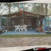 Struttura come gazebo o per roulotte