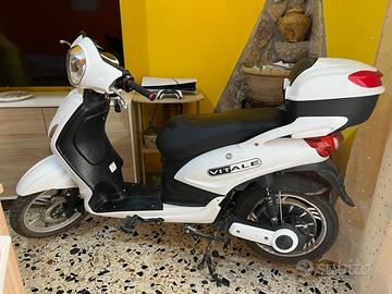 Bicicletta elettrica Vitale