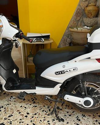 Bicicletta elettrica Vitale