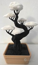 albero bonsai 