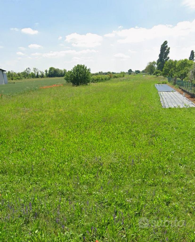 Terreno edificabile Trevignano - Vista 2
