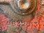 Immagine 11