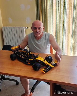 Modellino F1/Formula E  scala 1:8