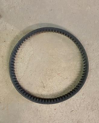 Cinghia variatore Aixam 77 denti.