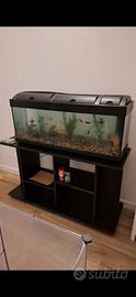 Acquario