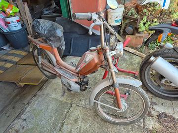 Califfo K 50 CC