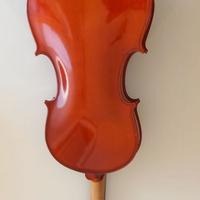 Violino liuteria Scarli