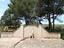Immagine 29