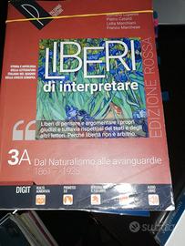 LIBERI DI INTERPRETARE 3A