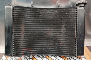 Radiatore triumph street triple