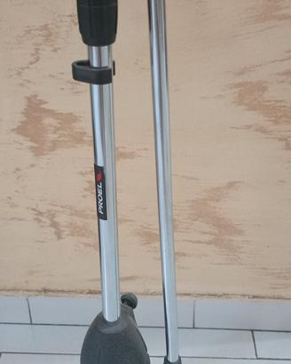 Asta per microfono 