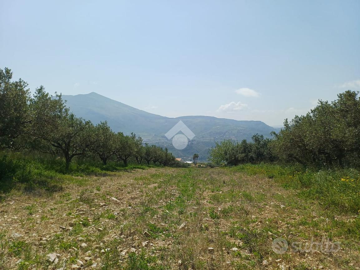 TER. AGRICOLO A CASTELLAMMARE DEL GOLFO - Vista 2