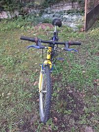 due biciclette 