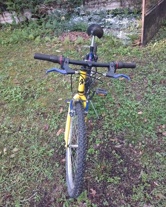 due biciclette 