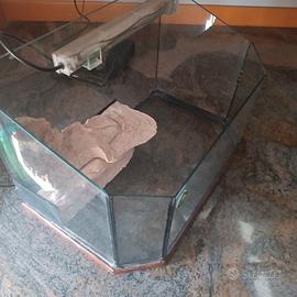 Acquario per tartarughe