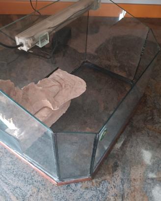 Acquario per tartarughe