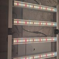 Grow Box Completa per coltivazione indoor