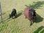 Immagine 1