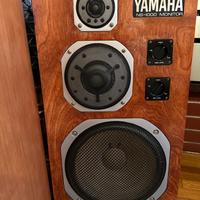 Yamaha Ns 1000 m