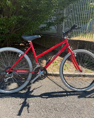 MTB “26