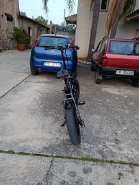 Bicicletta elettrica