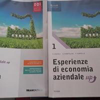 Esperienze di economia aziendale