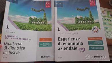 Esperienze di economia aziendale