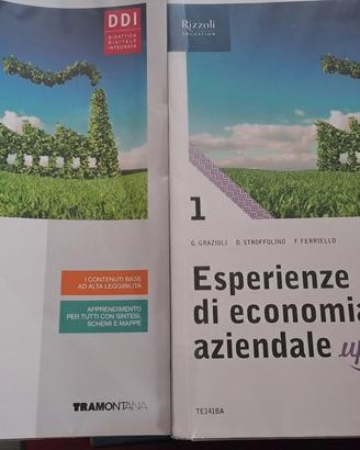 Esperienze di economia aziendale