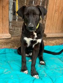 Aki quasi 2anni salito 1anno fa a MILANOin rifugio