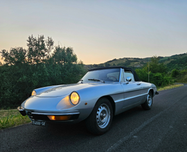 Alfa Romeo Spider 1300 junior