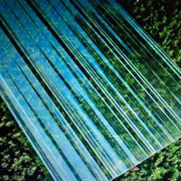 Pannelli trasparenti per tettoia, pollaio, orto