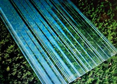 Pannelli trasparenti per tettoia, pollaio, orto