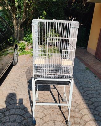 voliera 75x44x42 cm con piedistallo 130cm