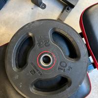 Disco decathlon gommato 10kg