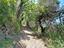 Immagine 26