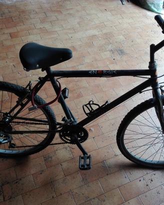 Bicicletta