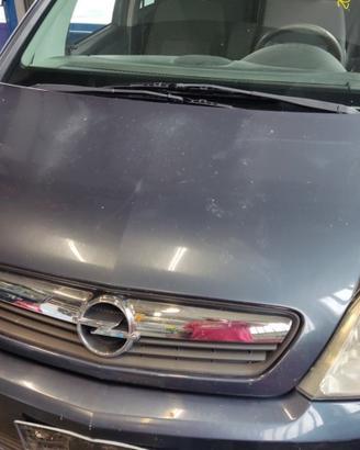 Cofano OPEL MERIVA del 2006