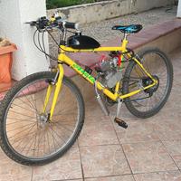 Bici a motore 100cc